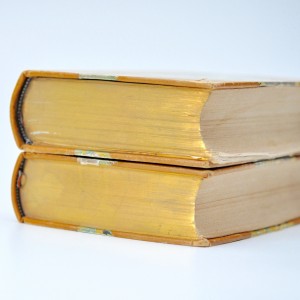 Полное собрание сочинений А. Н. Майкова 1901 back-side