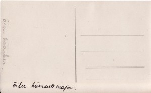 Õisu back-side