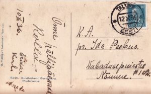 O. Haidak Narva back-side