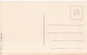 T. Parri back-side