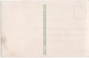 Gust. Schneider back-side