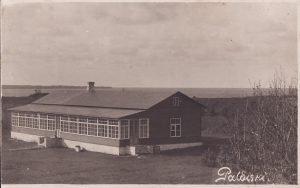 Foto Weidenstrauch