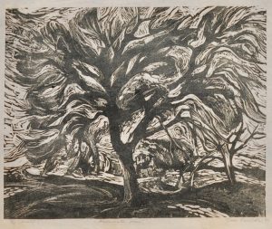 Reissaar, Tiiu (1936)