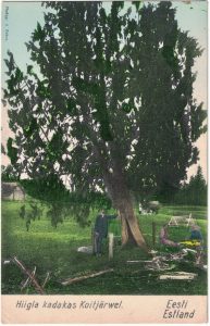 Foto G. Oskar Ploompuu kirjastus