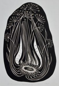 Väljal, Silvi (1928-2014)