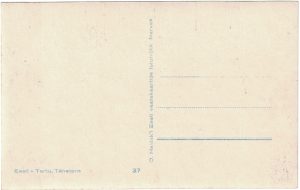 Haidak nr 37 back-side