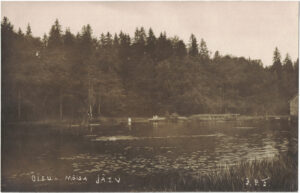 Õisu mõisa järv
