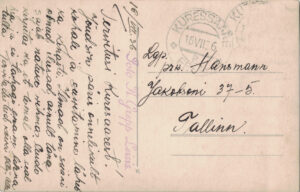 K.Krepp Leisis back-side