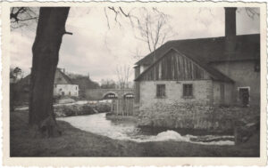 Foto: A. Sulev