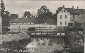 Mik, i foto 1928