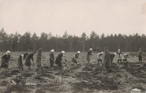 Naised põldu tegemas 1937