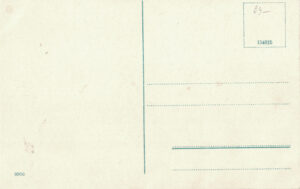9906 back-side