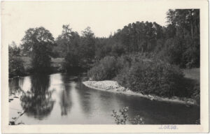 Loksa