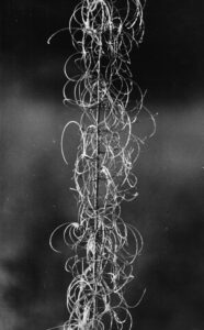 Väljal, Enno (1928-2011)