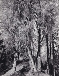 Väljal, Enno (1928-2011)