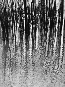 Väljal, Enno (1928-2011)