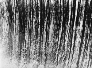 Väljal, Enno (1928-2011)