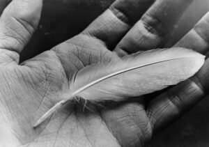 Väljal, Enno (1928-2011)