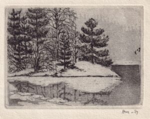 Tuvastamata Soome kunstnik